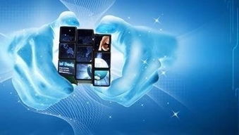 品牌巧借電商達人種草，智鵲網強勢助攻互聯網銷售