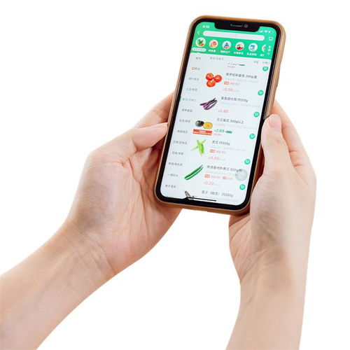 阿里巴巴關(guān)聯(lián)企業(yè)成立上海菜劃算公司，聚焦食品互聯(lián)網(wǎng)銷售加速搶占市場